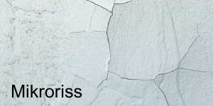 Mikroriss